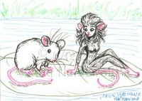 Rat\'s Raft
